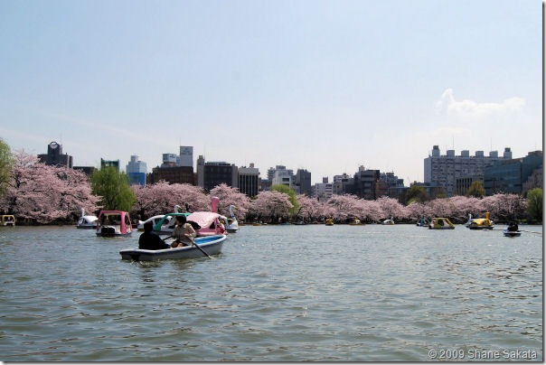 Love boats als parcs de Tokio