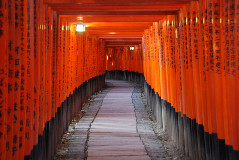 Excursi als temples de Kioto