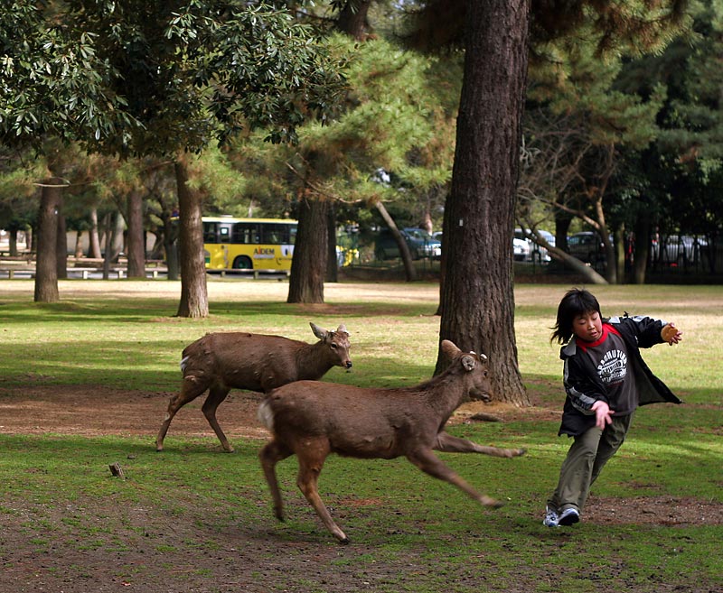 Excursió a Nara